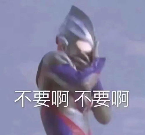搞笑沙雕表情包i天冷了旺铺招租