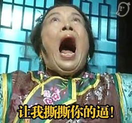 容嬷嬷表情图片容嬷嬷撕逼表情包带字