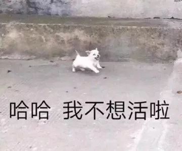 财大学生考试周有多难