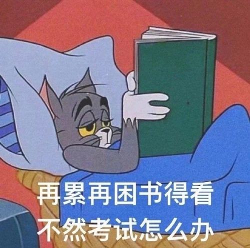 深入理解计算机系统csapp复习