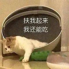 干饭表情包