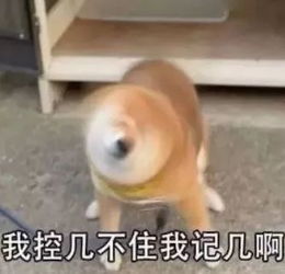 新鲜出炉爱长沙dou文明短视频话题挑战赛拍摄秘籍二