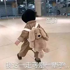歌词表情包搞笑图片罗熙