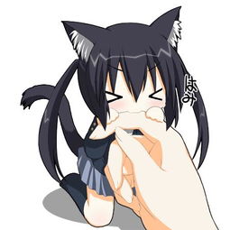 家庭教师桌面宠物教我