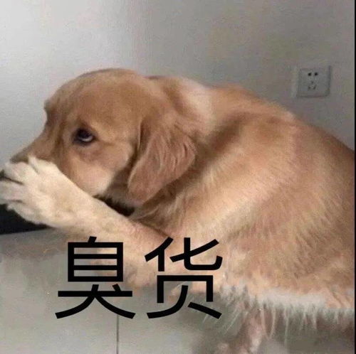 热门表情包