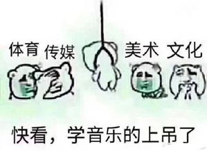 幽默图片搞笑段子世界里的专业沙雕,每个专业都有特定的表情包