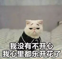 搞笑表情包图片微信谢腾飞