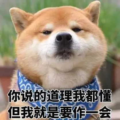上海网友说和杜粉讲道理比对狗讲道理还难,有人让她当心

