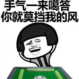 打麻将搞笑表情包合集微信搞笑打麻将表情包