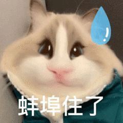 搞笑可爱表情包表情包