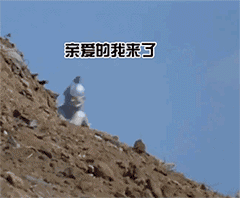可爱沙雕表情包叫老婆没大没小