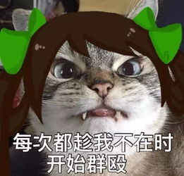 表情包王者荣耀遇到坑货队友怎么办这组最强王者级怼人表情包你得有
