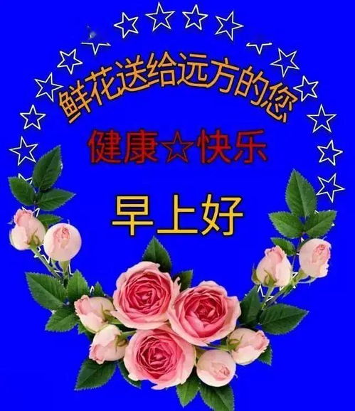 10月27日非常好看早上好动态表情图片大全,早安祝福问候鲜花表情包