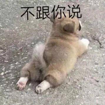 搞笑gif你们这是严重超载啊,八人骑一辆摩托车