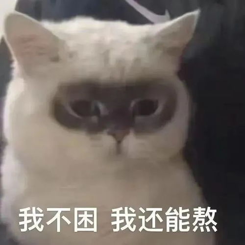 今日沙雕表情吧包就是他