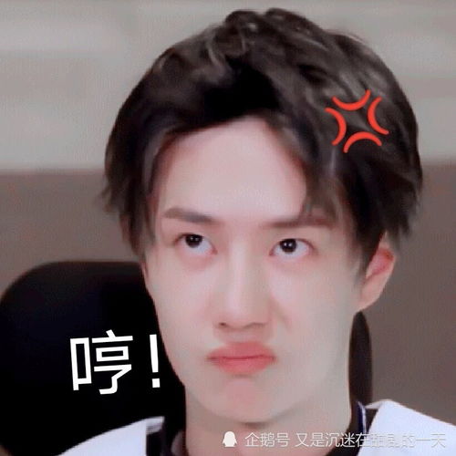 天天向上王一博因粘头套上热搜,节目上他的表情让人哭笑不得