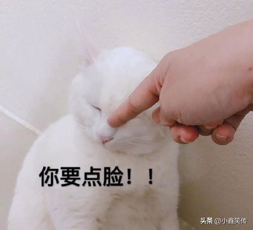 表情包动图沙雕搞笑段子