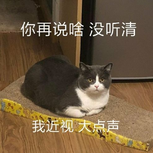 幽默笑话一次去哥哥家吃饭,吃饭时老婆给侄女夹了块肉
