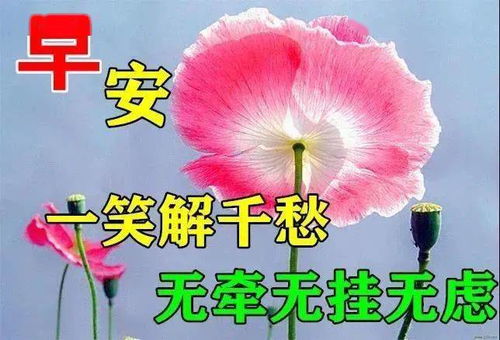 8张早上好动态图片表情带字和鲜花,好看的夏日早安问候语配动态鲜花图片