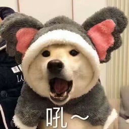wow奖项大满贯