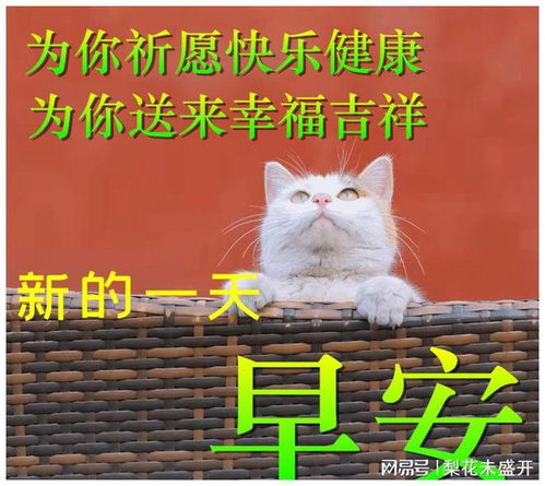 4月6日最新版漂亮早晨好图片带字温馨早上好动画表情图片大全