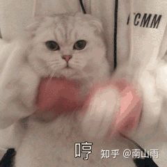 有没有无敌搞笑的动态表情包