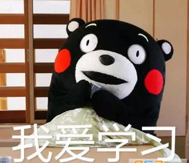 一家专属经贸人的深夜食堂