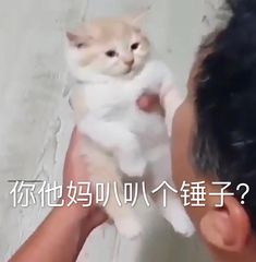 搞笑段子我们班女生没有一个会做饭的