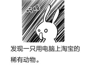 承包一年的笑点,这里可能是全网最大的表情包生产基地