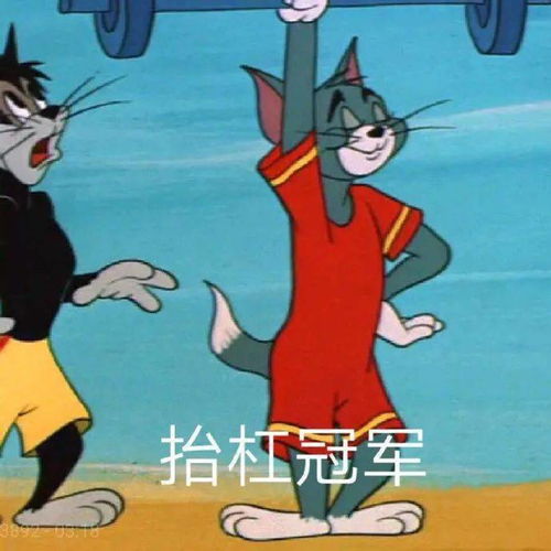 跟你超配的沙雕表情包