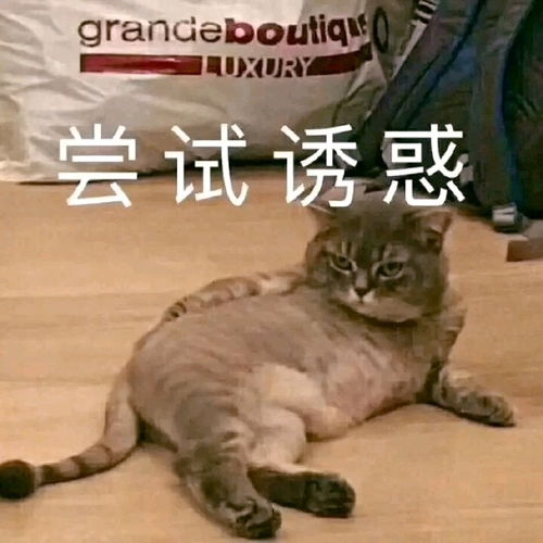 皮皮虾我们走搞笑表情包