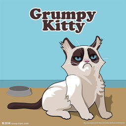 猫图片
