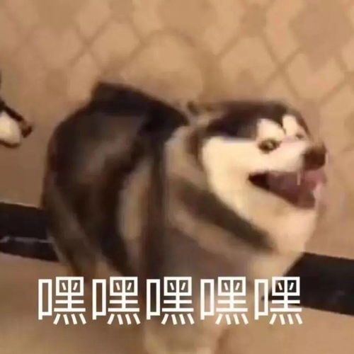 买买小羊毛超级香的小ck身体乳