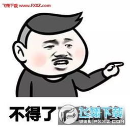 什么了我的谁表情包下载什么了我的谁恶搞表情包最新版高清版下载飞翔下载