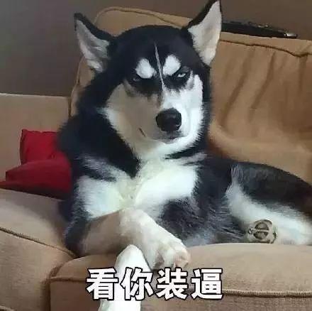 二狗子表情包