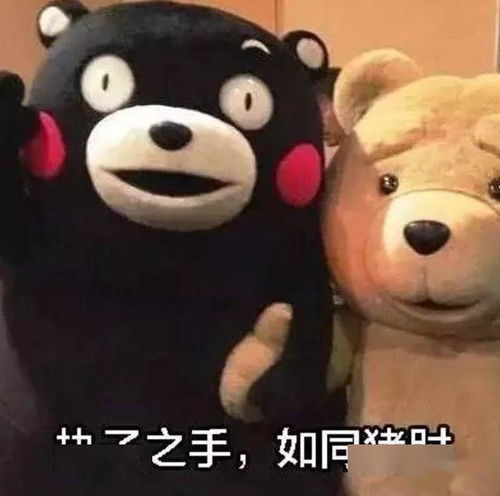 猪聪明又干净,公猪是射精时间最长的动物,猪的冷知识你都知道吗