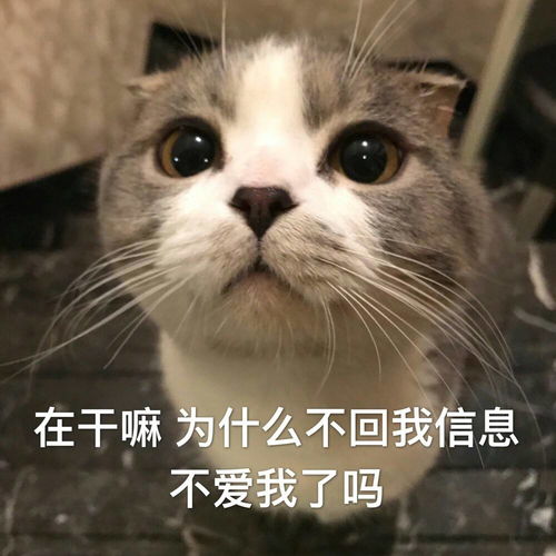 幽默笑话跟女朋友在一起八年了有件事我一直耿耿于怀