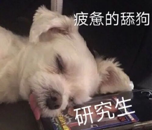 2020年毕业生,应该考研还是工作