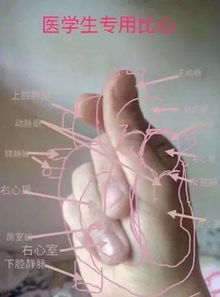 搞笑表情包视频医学生