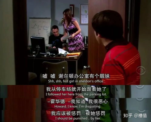 表情如何评价生活大爆炸thebigbangtheory表情