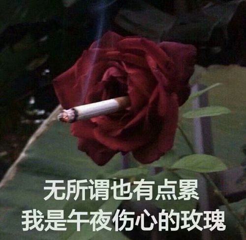沙雕又可爱的朋友圈文案99.0