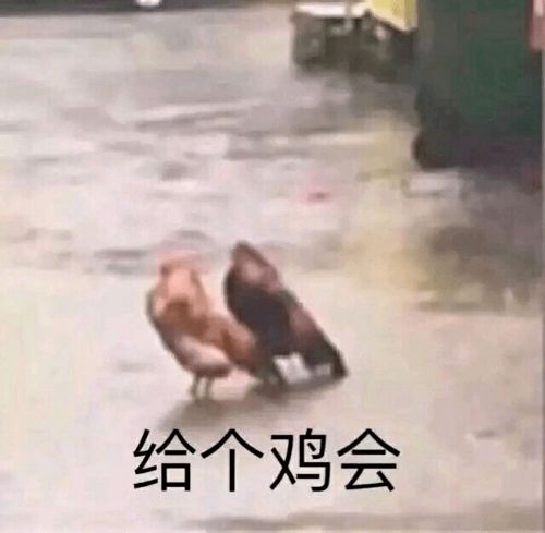 你永远也想不到沙雕网友是怎么变着法社死的......