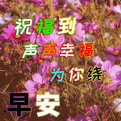 2020早晨好问候祝福图片最温暖的早上好问候语祝福表情图片大全