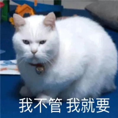 巨搞笑很有趣味的幽默表情让人觉得有毒吧的表情