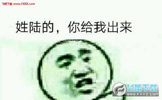姓x的你给我出来高清免费版表情包