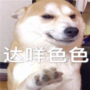 不用充钱的免费交友软件
