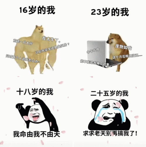 日常搞笑沙雕表情包不要迷恋哥,嫂子会打你的
