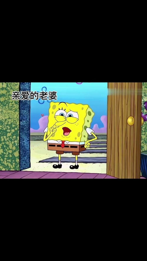 表情包海绵宝宝