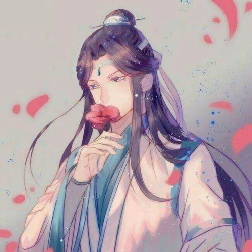 魔道祖师动漫头像魏无羡蓝忘机