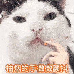 日常热门沙雕搞笑表情